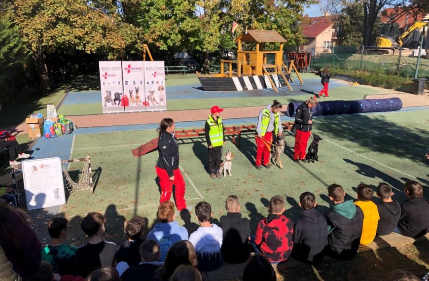 Mentőkutyák a Ritsmann iskolában